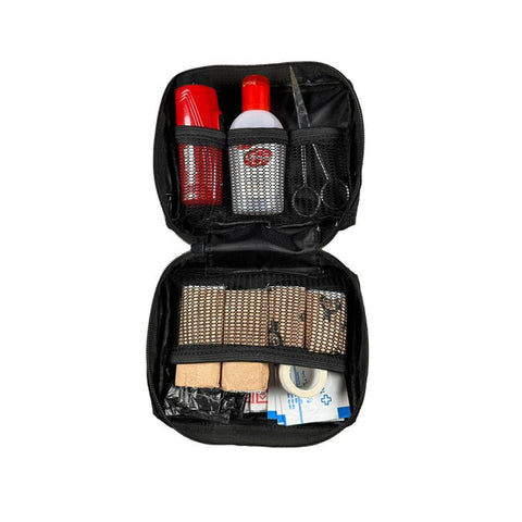 Car Essentials Kit