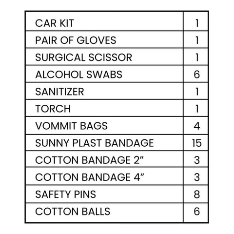 Car Essentials Kit